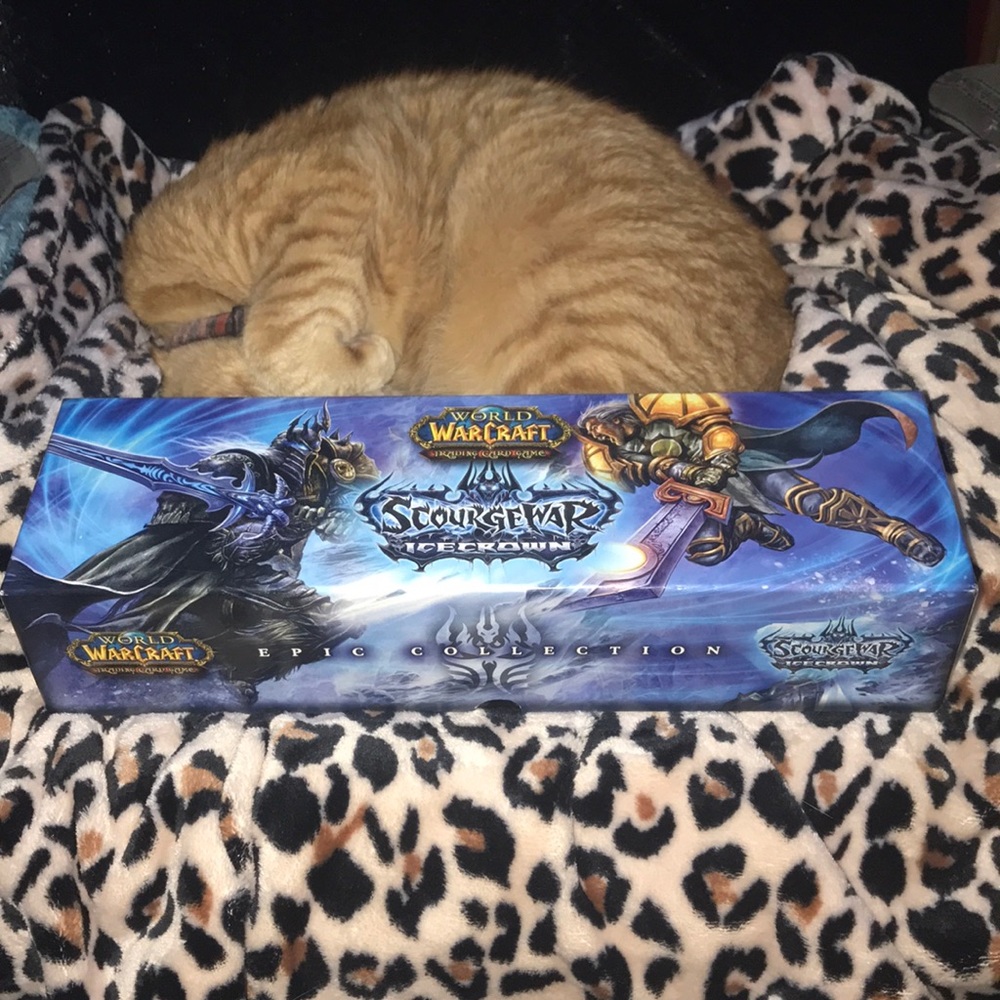 World of Warcraft trading card game scourgewar